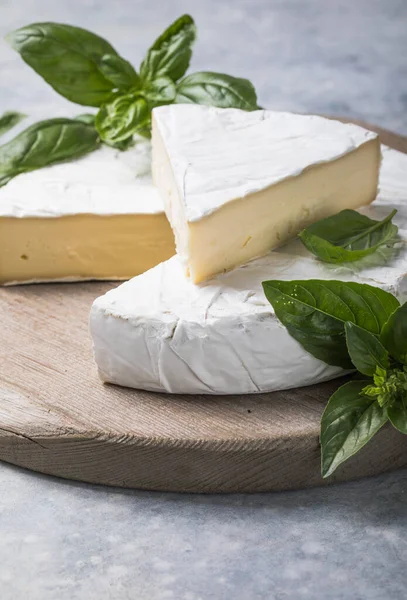 Queso Brie Queso Camembert Con Hierbas — Foto de Stock
