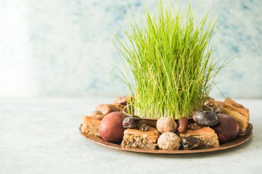 Novruz geleneksel tepsisi yeşil buğday çimi semeni veya sabzi, tatlı ve kuru meyveli pakhlava beyaz arka planda. Bahar ekinoksu, Azerbaycan kopyalama alanı