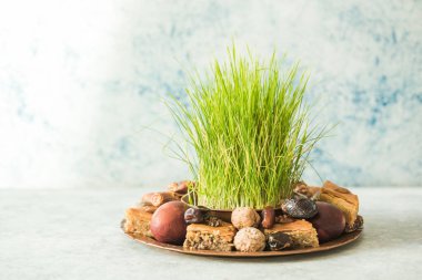 Novruz geleneksel tepsisi yeşil buğday çimi semeni veya sabzi, tatlı ve kuru meyveli pakhlava beyaz arka planda. Bahar ekinoksu, Azerbaycan kopyalama alanı