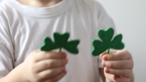 Green Clover Close Hands Little Boy Patrick Day — Stock Video