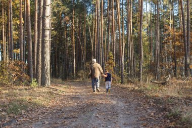 Büyükbabasıyla ormanda oynayan mutlu bir çocuk. Büyükbaba emekli oldu. Emekli ebeveyn. Düşünceli son sınıf öğrencisinin ve torununun portresi. Son sınıf öğrencisi dışarıda torunuyla eğleniyor..