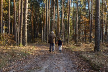 Büyükbabasıyla ormanda oynayan mutlu bir çocuk. Büyükbaba emekli oldu. Emekli ebeveyn. Düşünceli son sınıf öğrencisinin ve torununun portresi. Son sınıf öğrencisi dışarıda torunuyla eğleniyor..