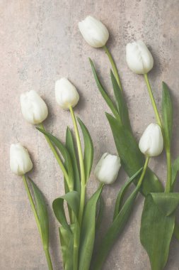 Gri masa zemininde beyaz lale çiçekleri ve metin için kopya alanı. Aşk, Uluslararası Kadınlar Günü, Anneler Günü konsepti