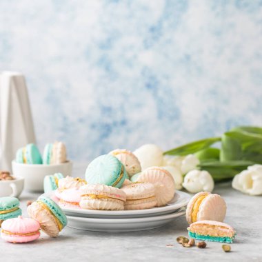 Kırmızı tabakta renkli Fransız ya da İtalyan kurabiyeleri. Öğleden sonra çayıyla ya da kahve molasıyla servis edilen tatlı. Güzel yemek arkaplanı