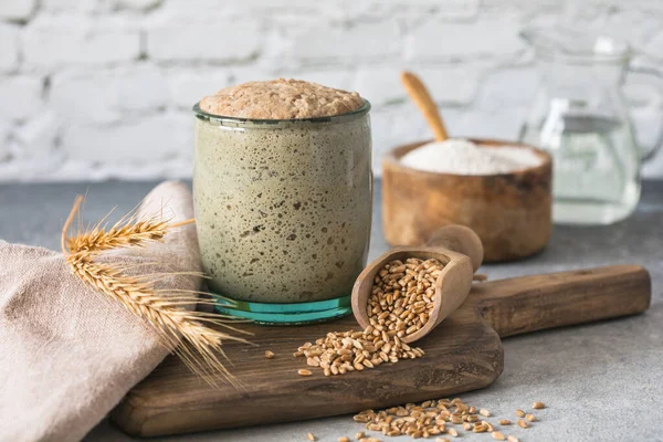 The rye leaven for bread is active. Starter sourdough ( fermented mixture of water and flour to use as leaven for bread baking). The concept of a healthy die