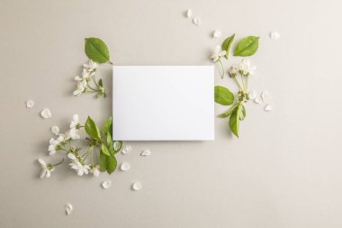 Zarif çiçek kompozisyonu. Gri arka planda kağıt boş. Marka modeli, tatil pazarlama konsepti. Kiraz ve beyaz çiçeklerin bileşimi çerçeve etrafında sıralanmıştır. Tebrik kartı şablonu. Mutlu kadınlar günü, bahar, Paskalya günü.