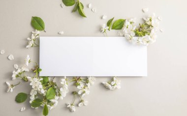 Zarif çiçek kompozisyonu. Gri arka planda kağıt boş. Marka modeli, tatil pazarlama konsepti. Kiraz ve beyaz çiçeklerin bileşimi çerçeve etrafında sıralanmıştır. Tebrik kartı şablonu. Mutlu kadınlar günü, bahar, Paskalya günü.