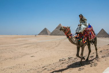CAIRO, EGYPT - 14 Mayıs 2021: Mısır çölündeki piramitlerin yakınındaki deve üzerinde göçebe