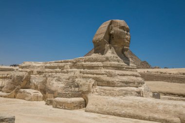 Kahire 'nin Giza şehrinde büyük sfenks ve antik Mısır piramitleri