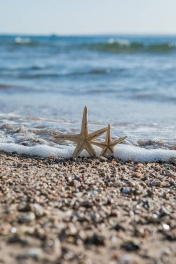 Güneşli bir günde deniz kenarında altın kumda duran denizyıldızı. Romantik yaz tatili konsepti. Yaz duvar kağıdı veya arkaplan