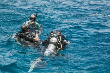 CAIRO, EGYPT - 17 Mayıs 2021: Scuba dalgıcı tropikal balıklarla mercan kayalıklarında yüzüyor