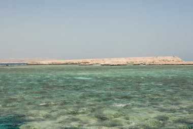 Kızıl Deniz 'in mavi sularındaki mercan resifi