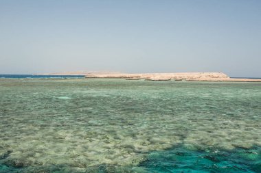 Kızıl Deniz 'in mavi sularındaki mercan resifi