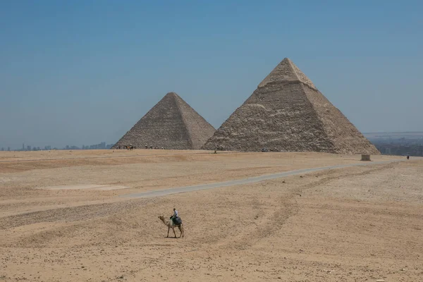 Nômade Camelo Perto Pirâmides Deserto Egípcio — Fotografia de Stock