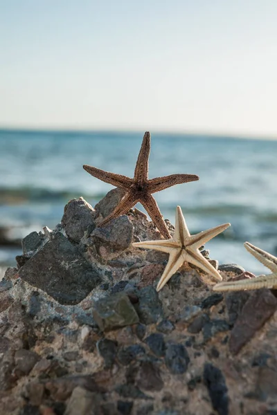 Starfish Standing Golden Sand Sea Sunny Day Romantic Summer Vacation — Stock Photo, Image