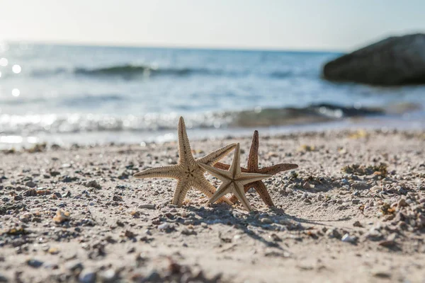 Starfish Standing Golden Sand Sea Sunny Day Romantic Summer Vacation — Stock Photo, Image