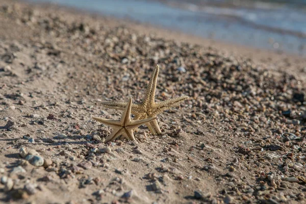 Starfish Standing Golden Sand Sea Sunny Day Romantic Summer Vacation — Stock Photo, Image