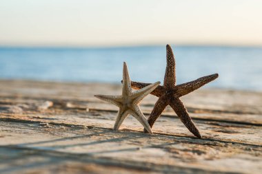 Deniz yıldızı ve mavi deniz altyapısı olan yaz sahili manzarası. Tropik yaz manzarası. Yaz tatili kavramı.