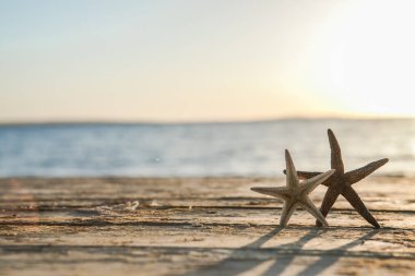 Deniz yıldızı ve mavi deniz altyapısı olan yaz sahili manzarası. Tropik yaz manzarası. Yaz tatili kavramı.
