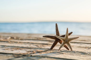 Deniz yıldızı ve mavi deniz altyapısı olan yaz sahili manzarası. Tropik yaz manzarası. Yaz tatili kavramı.