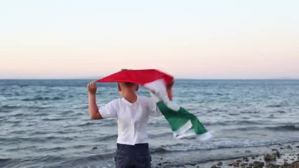 Niño Sosteniendo Bandera México Jalá Septiembre Día Independencia México Bandera — Vídeos de Stock