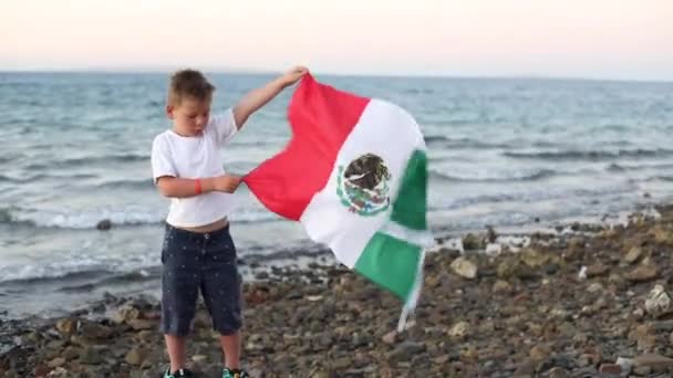 Ung Dreng Med Mexicos Flag Tillykke September Mexicos Uafhængighedsdag Mexicos – Stock-video