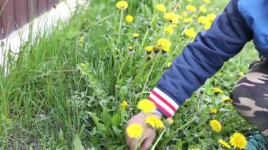 Çocuk çimenlerde ve gözyaşlarında oturuyor.