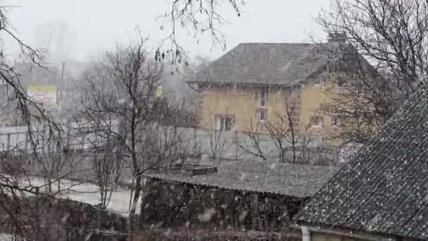 Casa Tronchi Rustica Alberi Innevati Grandi Cumuli Neve Neve Paesaggio — Video Stock