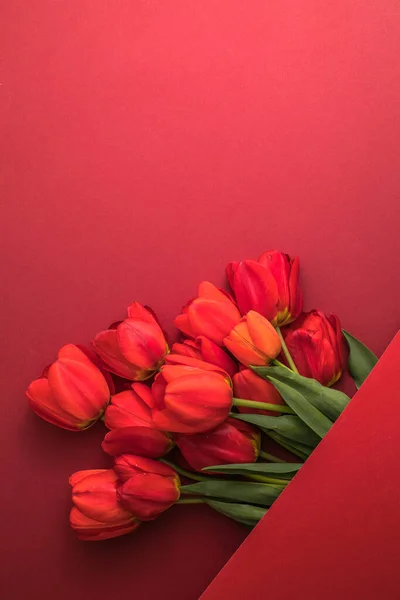 Creative layout made with tulip flowers on bright red  background. Flat lay. Spring minimal concept.