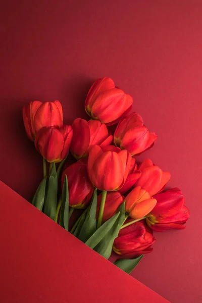 Mise Page Créative Faite Avec Des Fleurs Tulipes Sur Fond — Photo