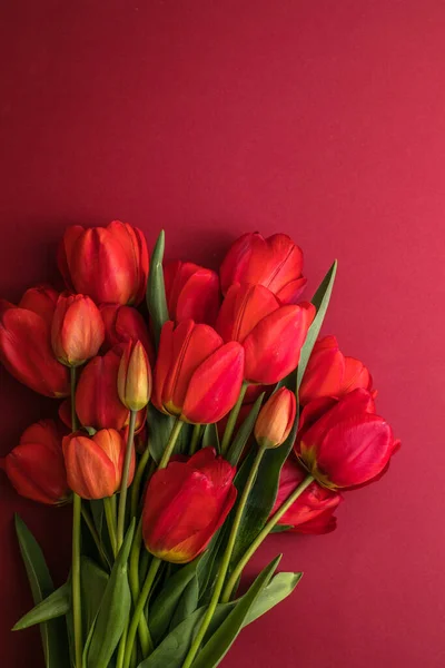 Mise Page Créative Faite Avec Des Fleurs Tulipes Sur Fond — Photo