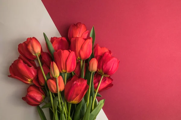 Mise Page Créative Faite Avec Des Fleurs Tulipes Sur Fond — Photo