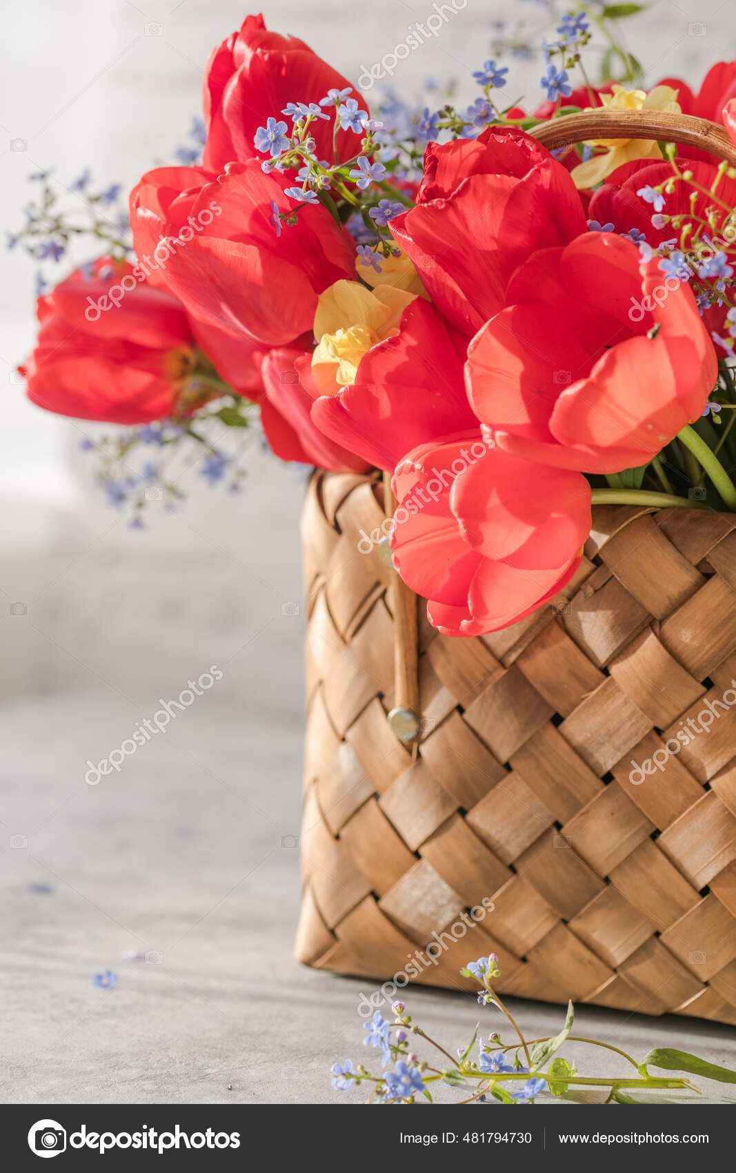 Ramo Verano Primavera Narcisos Tulipanes Rojos Una Canasta Mimbre Situada:  fotografía de stock © sokor #481794730 | Depositphotos