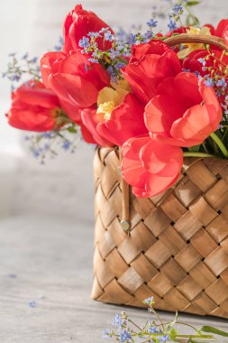 Beyaz arka planda bulunan hasır bir sepette yaz ya da bahar çiçekleri ve kırmızı laleler. Bahar çiçeklerinin çiçeği.