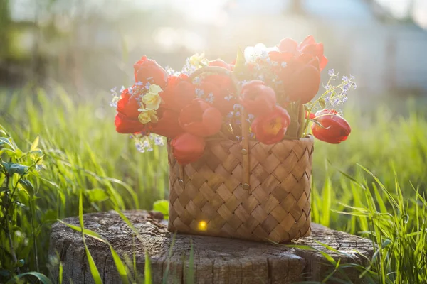 Nyári Virágok Szalmakosárban Provence Virágok Vadvirágokkal Vörös Tulipánnal Mező Falu — Stock Fotó
