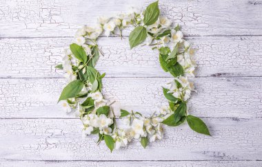 Yeşil Yapraklar ve gri bir arkaplandaki yazı için boş çarşaflı yasemin çiçekleri kompozisyonu. Kartpostalın doğal düzeni. Düz Yat