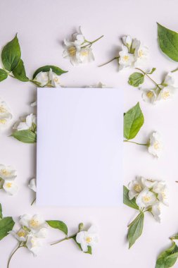 Yeşil yapraklar ve yasemin çiçeklerinin kompozisyonu. Gri bir arka plandaki yazı için boş bir çarşaf. Kartpostalın doğal düzeni. Düz Yat