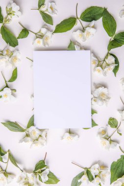 Yeşil yapraklar ve yasemin çiçeklerinin kompozisyonu. Gri bir arka plandaki yazı için boş bir çarşaf. Kartpostalın doğal düzeni. Düz Yat