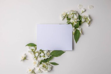 Yeşil yapraklar ve yasemin çiçeklerinin kompozisyonu. Gri bir arka plandaki yazı için boş bir çarşaf. Kartpostalın doğal düzeni. Düz Yat