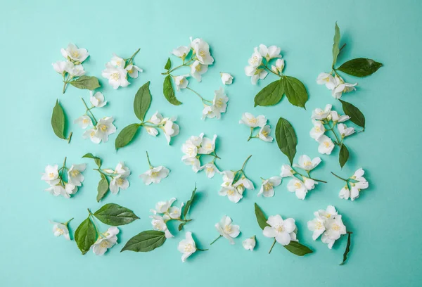 Patroon Van Knop Jasmijn Bladeren Verspreid Een Groene Achtergrond Bovenaanzicht — Stockfoto