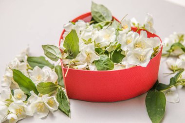 Hediye kutusunda bir buket yasemin. Sevgililer Günü. Metin için kopyalama alanı olan üst görünüm. Çiçekler Dekoratif Çerçeveyi Kutlar.