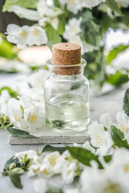 Yasemin yağı ve taze yasemin çiçeği. Alternatif tıp ve doğal vücut bakımı kozmetikleri. Beyaz çiçek tomurcukları.