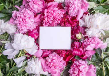 Pembe şakayık tebrik kartı. Taze kokulu şakayık çiçekleri, yapraklar ve kağıt daireler oluşturuyor. Anneler günü, doğum günü, fotokopi çekilen romantik tebrik kartı, mesaj atılacak yer.