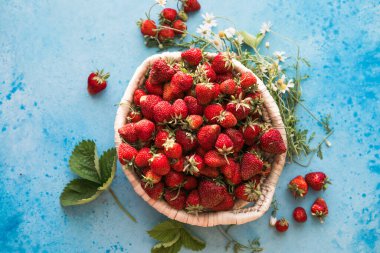 Kendi böğürtlen tarlanızı toplayın eski sepette taze organik çilekler. Haziranda taze çilek topluyorum..