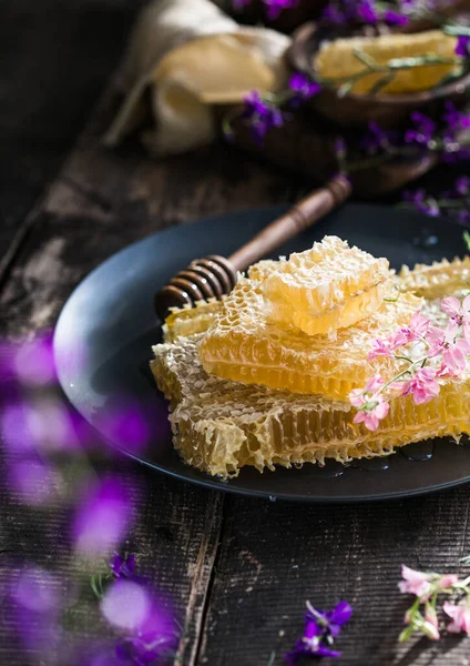 Nid Abeille Les Abeilles Produisent Miel Frais Sain Fond Miel — Photo