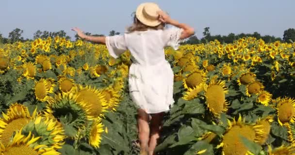 Beleza Mulher Iluminada Pelo Sol Campo Girassol Amarelo Conceito Liberdade — Vídeo de Stock