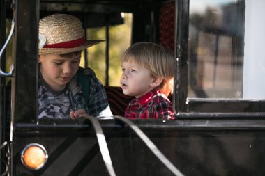 İki Amiş çocuk, 2 ve 10 yaşlarında, geleneksel bir at arabasında birlikte oturuyorlar..