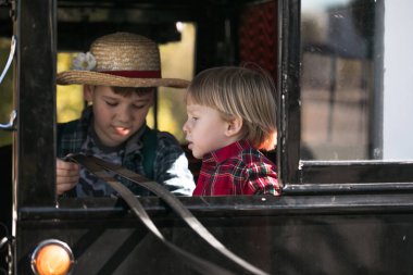 İki Amiş çocuk, 2 ve 10 yaşlarında, geleneksel bir at arabasında birlikte oturuyorlar..