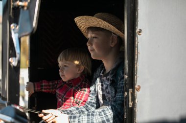 İki Amiş çocuk, 2 ve 10 yaşlarında, geleneksel bir at arabasında birlikte oturuyorlar..