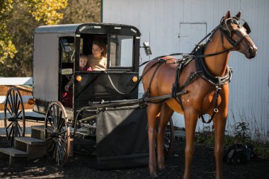 Amiş çocuk, 2 yaşında ve anne, geleneksel bir at arabasında birlikte oturuyor..